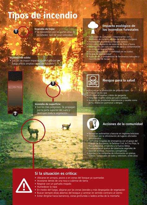 Incendios Forestales En Per Blog De Prevencion Y Sistemas Contra