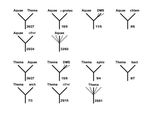 A Census Of The Topologies Of Maximum Likelihood Trees For Individual