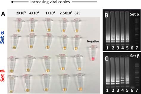 Figure From Scaling Diagnostics In Times Of Covid Colorimetric