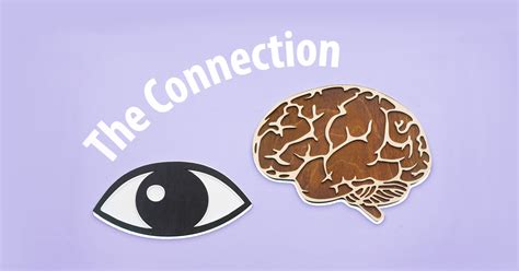 The Brain Eye Connection How Your Brain Influences Your Vision And Eye