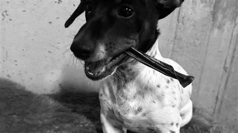 Columbus Ledger-Enquirer: Latest Local Obituaries and Tributes 30