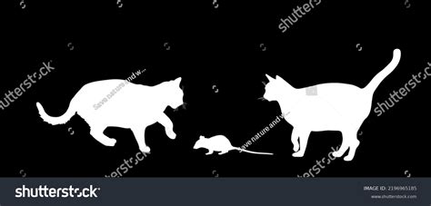 Cat Chasing Mouse: Over 215 Royalty-Free Licensable Stock Vectors ...