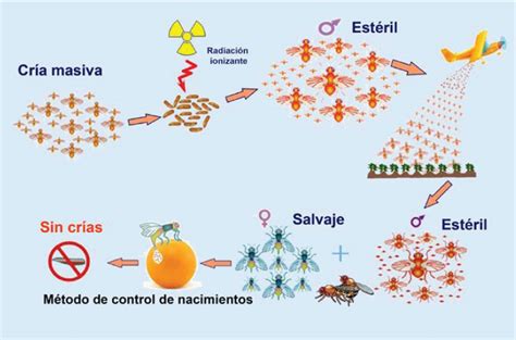 5 Fuentes radiactivas y tecnologías alternativas en la esterilización