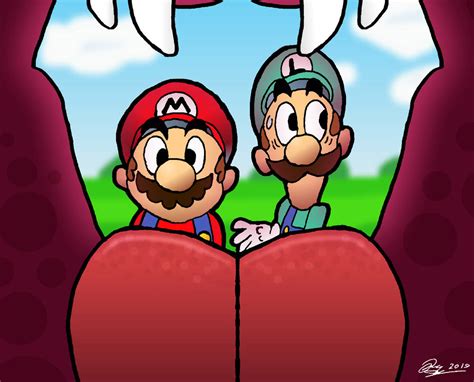Mario and Luigi: Bowser's Inside Story by Mr-Lechkar on DeviantArt