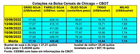 Milho Produção mundial está estimada em 1 185 bilhão de toneladas