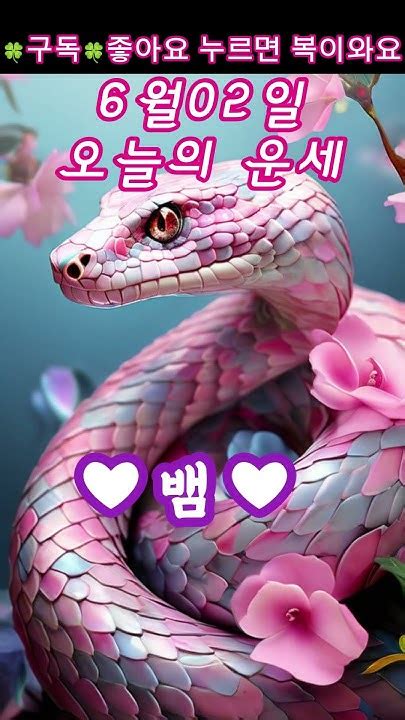 ♡오늘의운세 6월02일 일요일 띠별운세♡오늘운세쥐띠소띠호랑이띠토끼띠용띠뱀띠말띠양띠원숭이띠닭띠개띠돼지띠