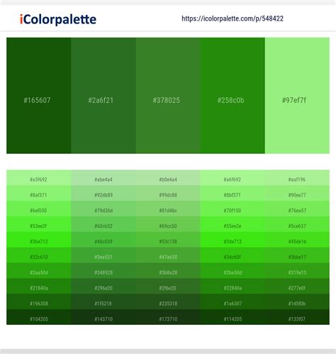 46 Latest Color Schemes with Dark Green And Light Green Color tone combinations | 2024 ...