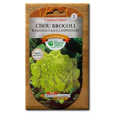 Chou Brocoli Romanesco Produit Lbiocompost