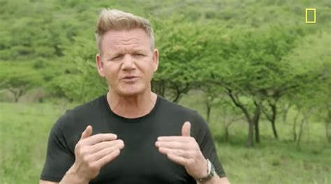 National Geographic Shares New Trailer For Season 2 Of Gordon Ramsay