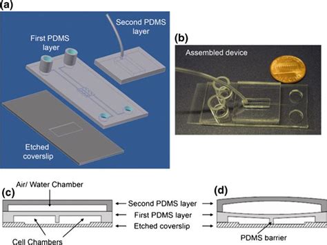 A Versatile Valve Enabled Microfluidic Cell Co Culture Platform And