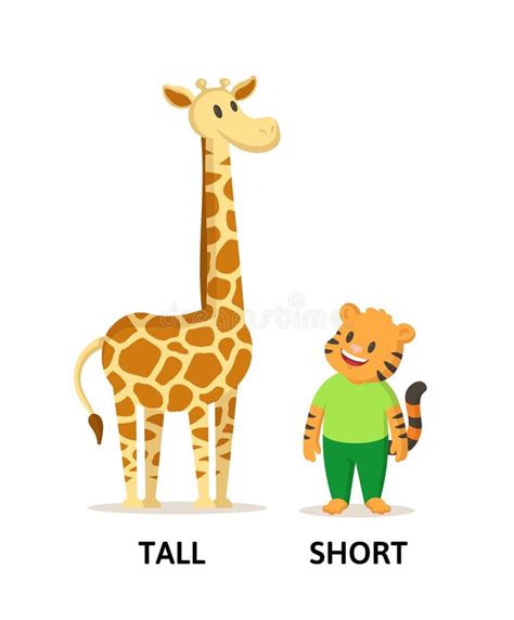 Tall Short Stock Illustrations – 1,334 Tall Short Stock Illustrations, Vectors & Clipart ...