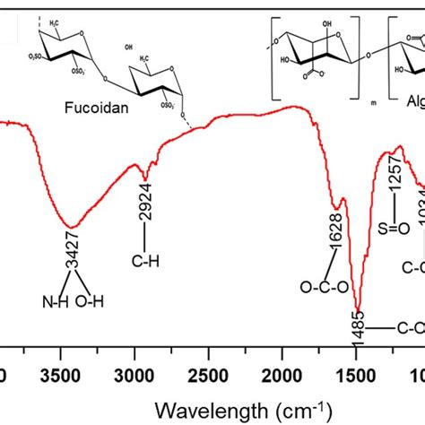 Fourier Transform Infrared Spectroscopy Ftir Indicated The