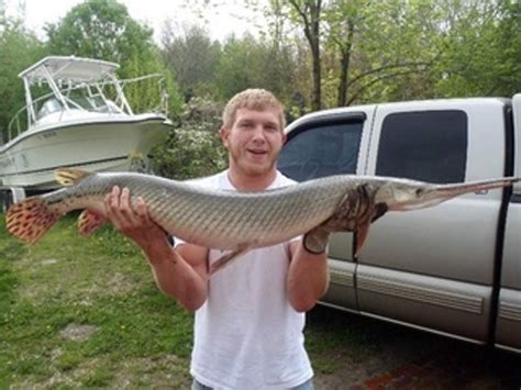 New Ohio Bowfishing Record Longnose Gar