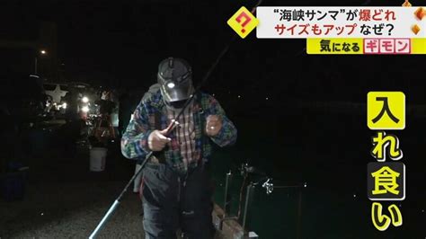 秋の味覚“海峡サンマ”が豊漁！ サイズも大きく地元漁師「調子はいい」 海水温が高かったことが影響か 北海道｜fnnプライムオンライン