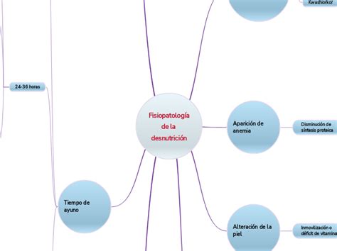 Fisiopatolog A De La Desnutrici N Mind Map