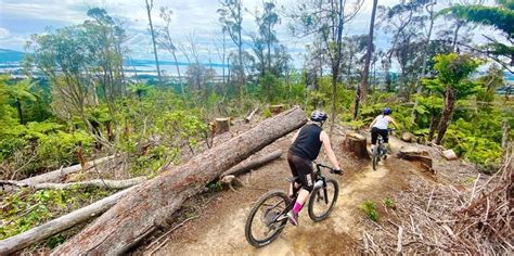 Redwood Forest Mountain Biking Rotorua | Everything New Zealand