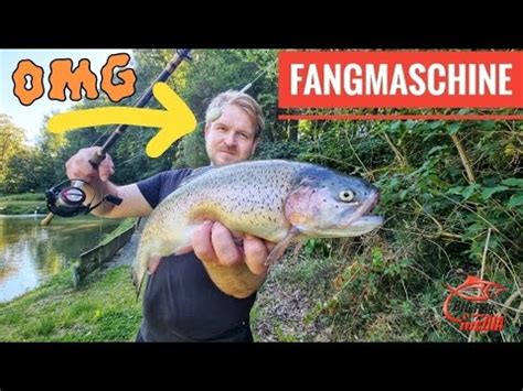 So F Ngt Auch Der Faulste Angler Viele Forellen Funktioniert Wirklich