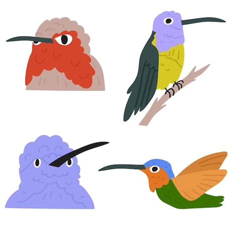 Premium Vector Colorful Set Of Hummingbirds Flat Vector Hand Drawn