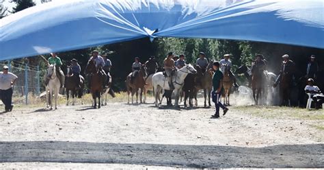 Baqueanos A Caballo Frenaron Una Movilización A Lago Escondido Y Hoy