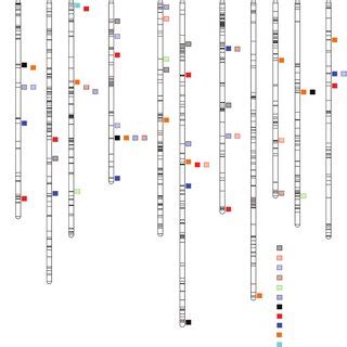 Quantitative Trait Loci QTL Associated With Operculum And Capsule