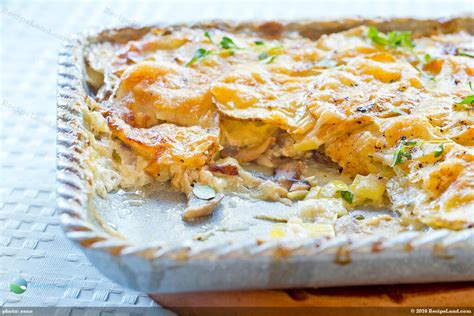 Cheesy Potato Leek And Mushroom Gratin Recipe