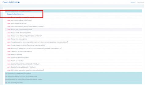 Piano Dei Conti Guida Online Cloud Finance