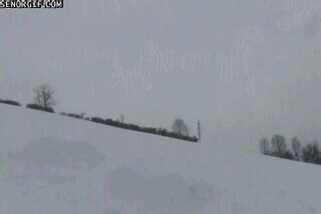 skiing funny gif | WiffleGif