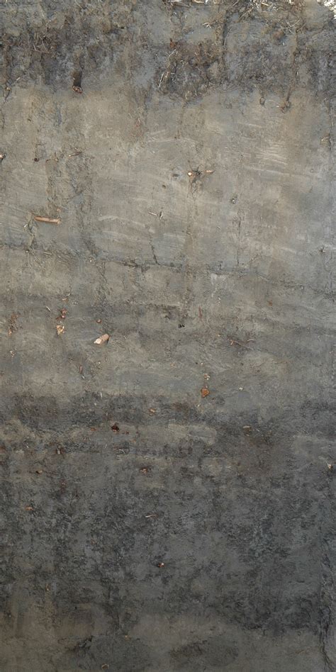 Floodplain Soils along Moreau River in South Dakota on Behance