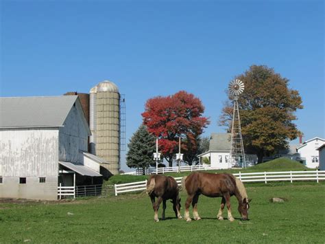 Pennsylvania Amish Farm Amish Farm, Amish Country, Country Life, Amish ...