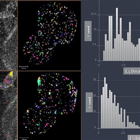 Haadf Stem Micrographs Of Auco Tio Gold And Cobalt Particles