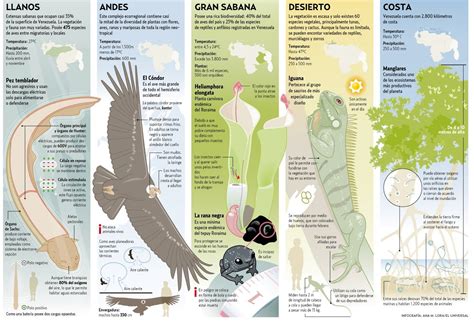 Biodiversidad En El Peru Mapa Conceptual Jlibalwsap