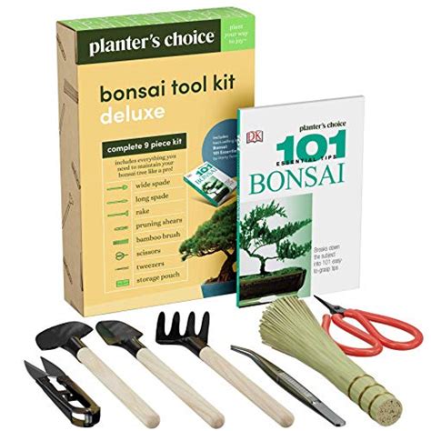 Best Planters Choice Bonsai Starter Kit An Ideal Way To Start Your