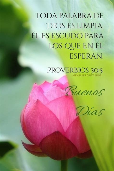 Mensajes Cristianos Proverbios Good Day Quotes Christian