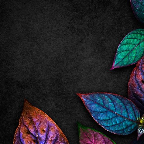 Leaf, Purple, Nature, Liquid, Botany 4K iPhone Wallpaper