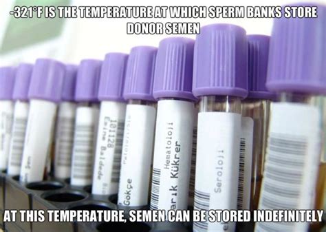 Facts About Sex Life Pics