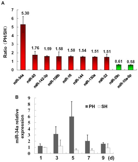 A Mirna Expression Profiling At D After Partial Hepatectomy Phx