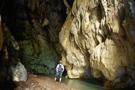 Caverna Colombia Di Rio Claro Guacharos Fornito Da Rios Y Aventuras