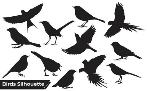 Bird Vector Art, Icons, and Graphics for Free Download