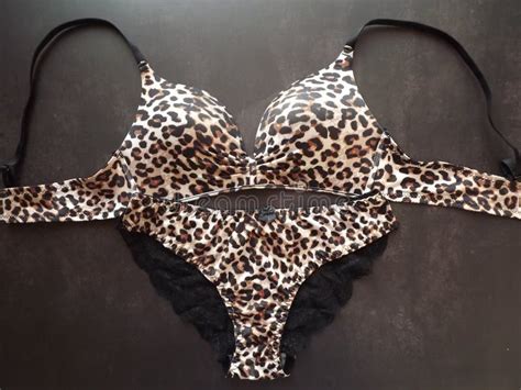 Leopard Lingerie Set With Lace Panties On Black Background Stock Image Image Of Marketing