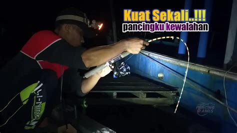 Tarikan Misterius Penghuni Kolong Dermaga Tua Disaat Mancing Udang