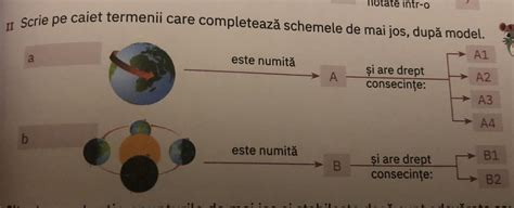 Scrie Pe Caiet Termenii Care Completeaxa Scheme De Mai Jos Dupa Model