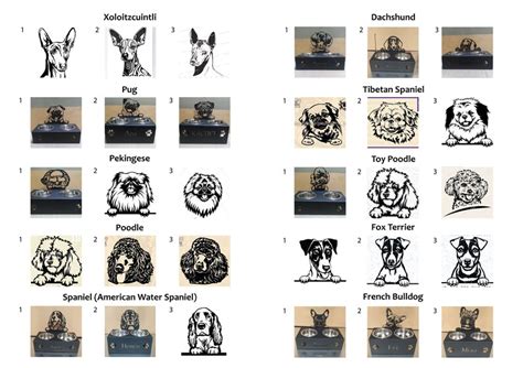 Personalized Stainless Steel Elevated Dog Bowl, Custom Dog Feeding ...