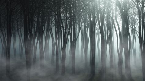 Free Photo | Foggy forest landscape