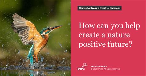 Pwc Boosts Global Nature And Biodiversity Capabilities With New Centre