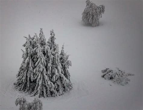 Winterberg Aus Der Vogelperspektive Winterluftbild Vereinzelt Stehende