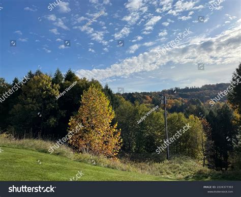 Beautiful Fall Foliage Along Catskill Mountains Stock Photo 2224377393 | Shutterstock