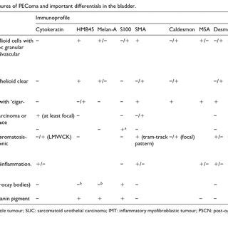 key immunohistochemical features  pecoma  important differentials