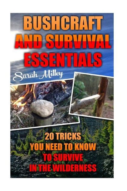 Bushcraft And Survival Essentials 20 Tricks You Need To Know To Survive In The Wilderness