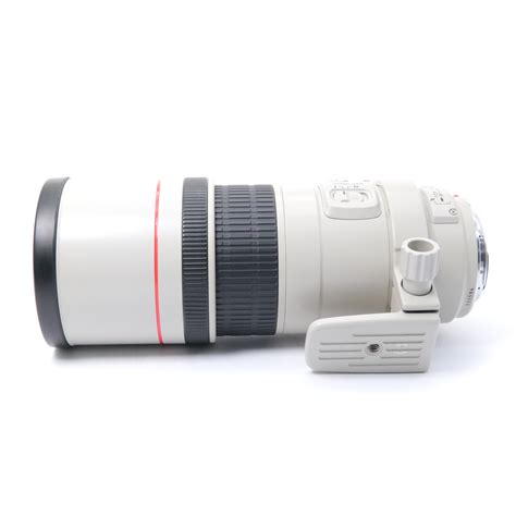 Canon EF 300mm F/4L IS USM #17 | eBay