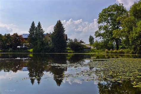 Spiegelung Im Weiher Am Degerndorfer Weiher Helmut Reichelt Flickr